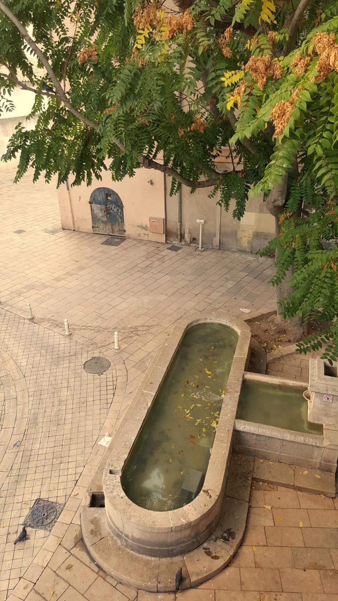 #1 Studio # Place Charmante Тулон Экстерьер фото